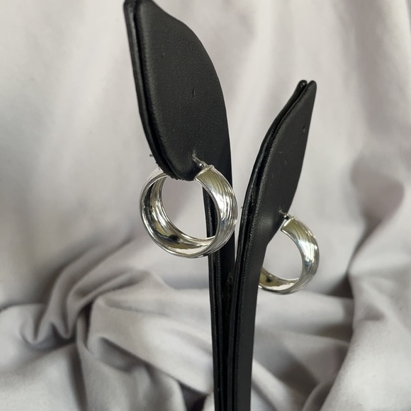 JTV Hoop Earrings - Picture 2 of 9